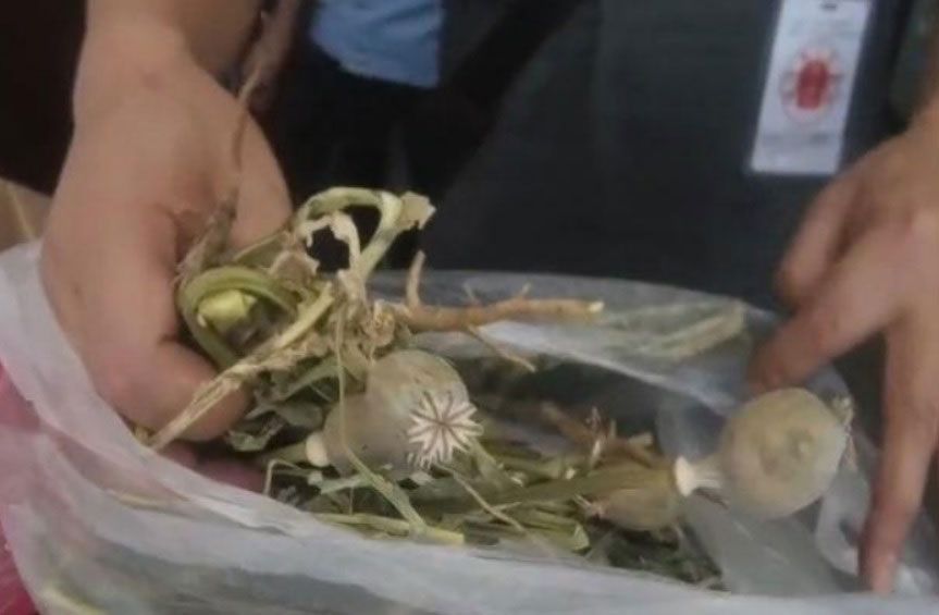 四川一羊肉店在汤头里放罂粟壳，害顾客被验出吸毒反应。