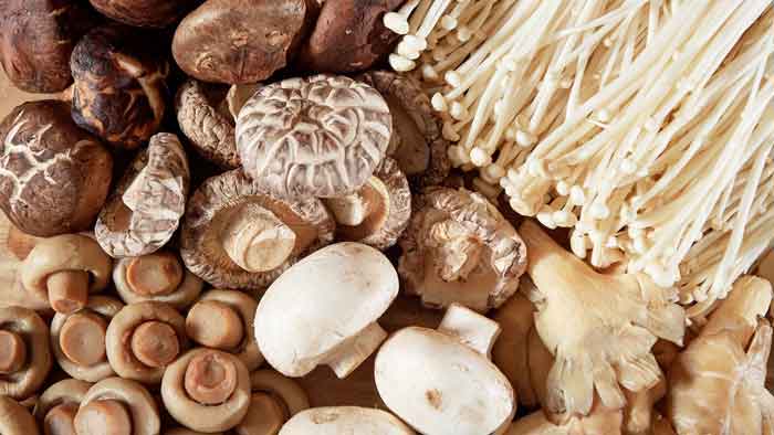 精品集团正积极以凤梨和蘑菇等其他原物料，开发更有益生态环境的另类材质，取代备受诟病的动物皮革。