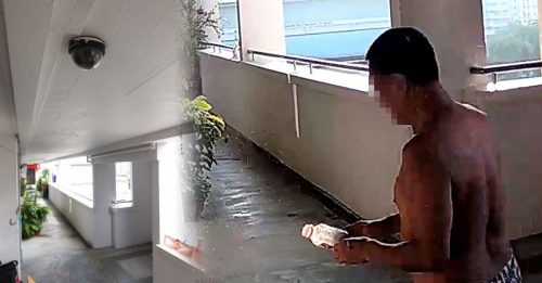 举头三尺有电眼 男邻居泼屎尿 假好心助捉人