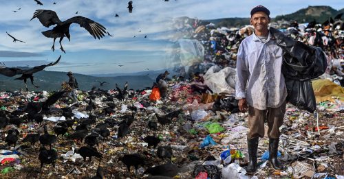 洪都拉斯贫穷率59% 人民垃圾堆与秃鹫抢地盘
