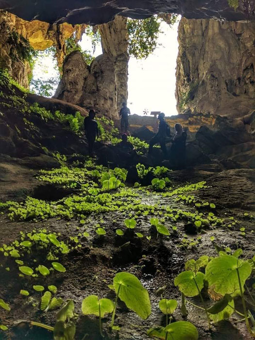 2019拍摄的洞穴，充满天然气息。