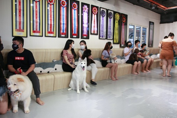 哈士奇宠物馆通过选秀赛，让狗主有个交流平台。