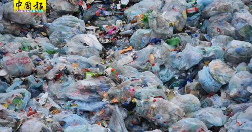 无法减少塑料袋使用  消协促政府检讨失败举措