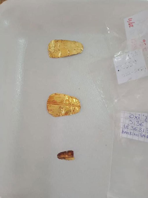 埃及明亚省古墓葬中出土的舌头形状的黄金装饰品。（新华社）