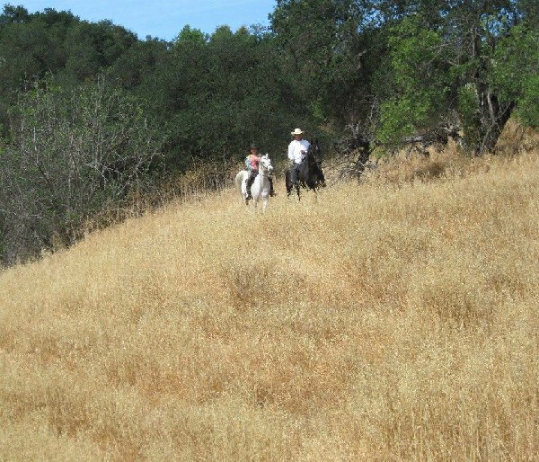 王冠雄和老婆姜文淑移居美国洛杉矶过着隐居山林生活。