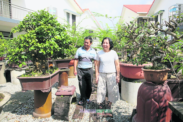 林辉雄和太太彭宝球，最喜欢在自家庭院里漫步欣赏盆栽。