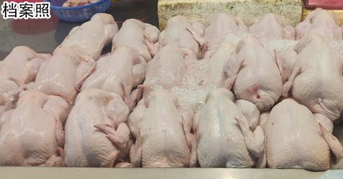 无论大马何时取消出口禁令 新国续扩大肉鸡进口来源