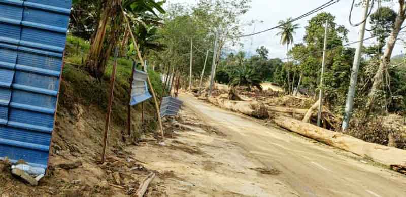 民众因灾区出现许多树桐，指责森林局容许森林开发活动。