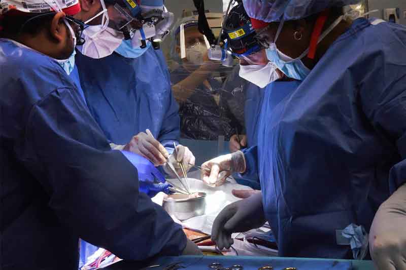 猪心移植人体手术进行中。