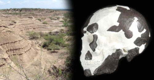 東非古智人化石 或溯至23萬年前