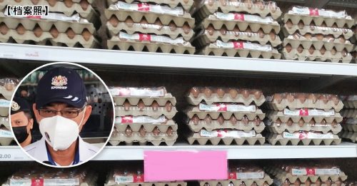 副部长：保障鸡蛋供应 提供鸡农简易贷款