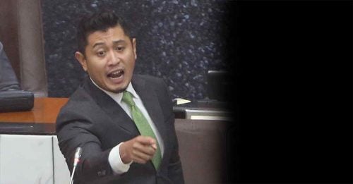 希尔曼入禀法庭  要求删答辩人内容