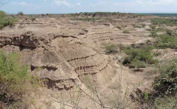 基比许奥莫人（Kibish Omo I）化石于1967年在埃塞俄比亚南部出土的地点。