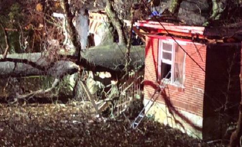 遭大树压毁的屋子。