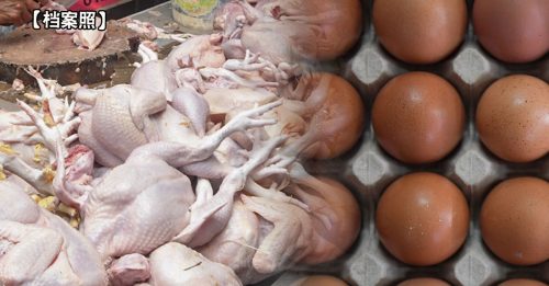 内阁同意提供养鸡业者额外津贴 每公斤肉鸡60仙津贴 每粒鸡蛋5仙津贴