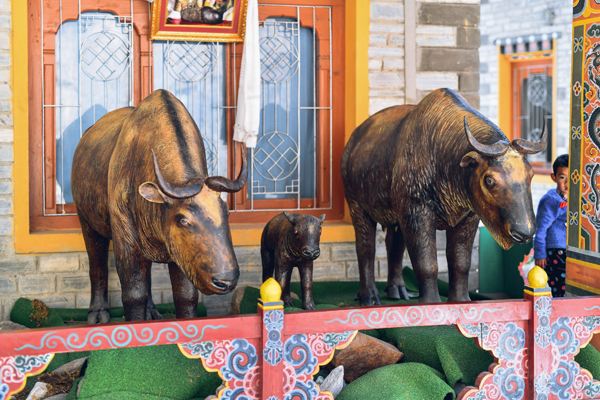 塔金是不丹的国兽，它头如羊、角似鹿、 体如牛、尾似驴，看起来就像个四不像。
