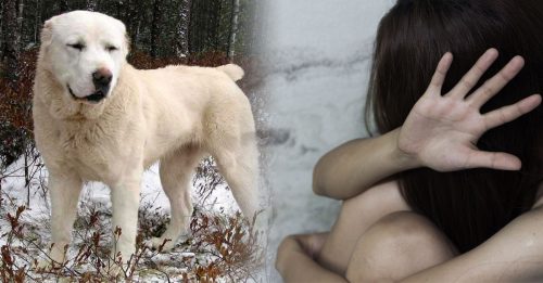 ◤俄乌开战◢ 俄军爆轮奸少女 吃腻干粮吃狗肉