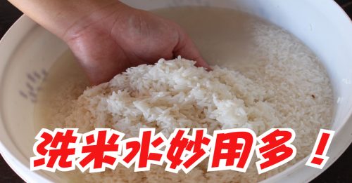 ◤好煮意◢洗米水别倒掉！