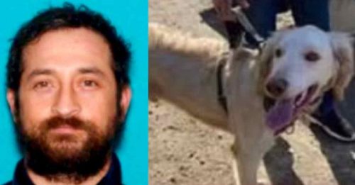 加男徒步旅行失踪2周 被发现死亡忠犬守遗体