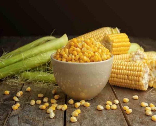 玉米被归类在全谷杂粮类。