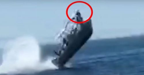 观光船撞座头鲸 乘客被抛空中 坠海