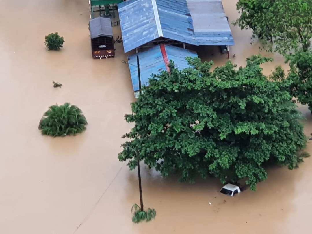 3月下长命雨时，古腰河泛滥，蒲种金銮镇先淹水，救了莎阿南太子园。