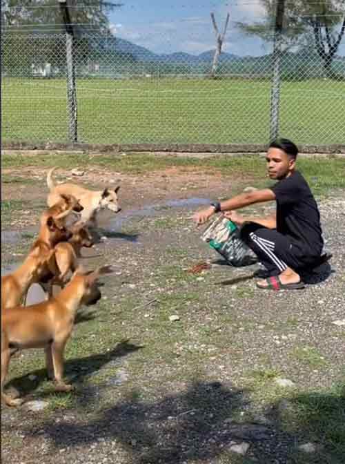 法依艾吉夫上载自己喂养流浪狗的互动短片，得到许多网民的关注。
