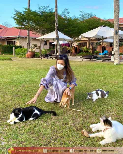 雪州苏丹后东姑诺拉西金在浮罗交怡领养了4只流浪猫，结扎后交给一家酒店照顾，并提供必需品。