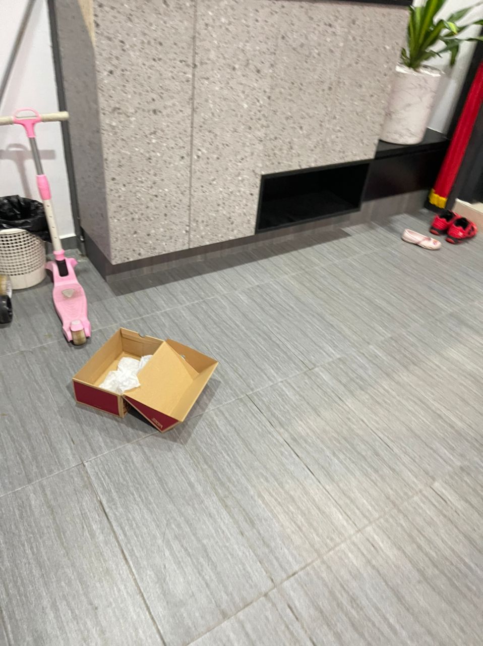 小偷偷走鞋子后，将鞋盒丢弃在地上。
