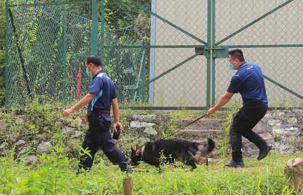 警方出動警犬在發現骸骨附近搜索，顎骨及部分肋骨被尋獲。