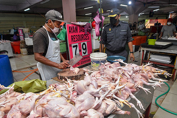 數聯盟壟斷國內禽畜產業鏈 牢控活雞 小雞 飼料價格