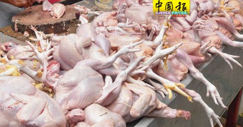 数联盟垄断国内禽畜产业链 牢控活鸡 小鸡 饲料价格