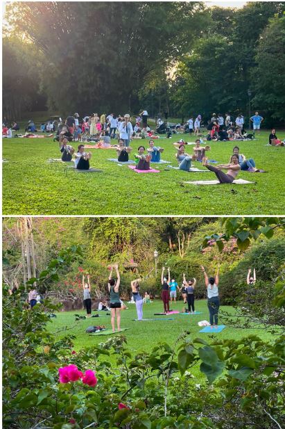李显龙在面子书，上载两张瑜伽团体成员，在公园内练习瑜伽的照片，说明防疫措施放宽前后的对比。