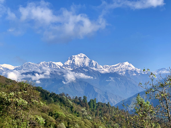 从潘山了望世界第7高峰Dhaulagiri(8167米)，自带高傲气质！连带着好好地欣赏了喜马拉雅山脉的Tukuche（6920米)、Annapurna（8091米）、南Annapurna（7219米），还有Himchhuli（6441米）！