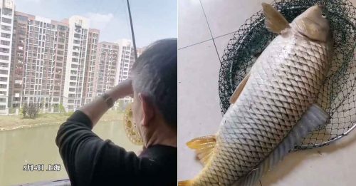 ◤全球大流行◢ 上海封闭河景房 居民露台钓巨鱼