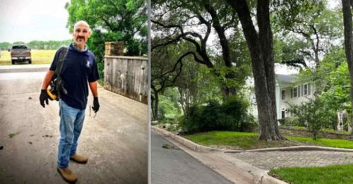 误触蜂窝又踢翻梯子 男吊树活活被蜜蜂螫死