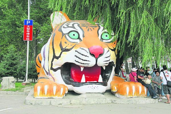 虎园巨大的虎头雕塑，成了最多游客打卡的地方！