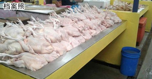 ◤肉鸡短缺◢ 肉鸡供应商加班 601前对新输出更多货源