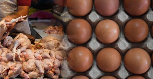 鸡肉 鸡蛋 高过顶价 贸消部开罚逾25万