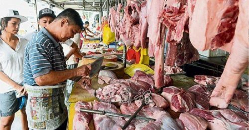 农场生猪价再创新高！100公斤1140令吉