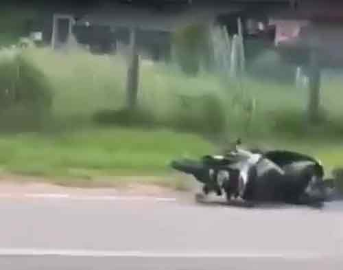 视频里拍到山猪撞倒刚好骑摩哆路过的骑士。（照片取自互联网）