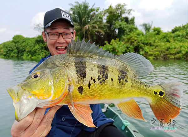 Eric Chan这尾45公分大皇帝鱼，是用铅头钩配搭透明长尾小蛆虫软饵钓获。