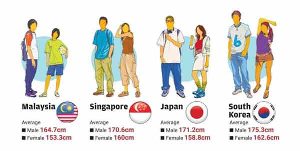 大马男女的平均身高比新加坡、日本和韩国男女还要矮。
