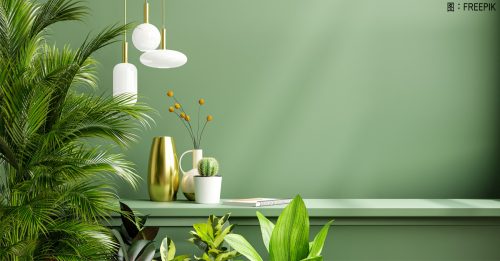 ◤品味生活◢ 电灯能代替太阳照射植物吗？