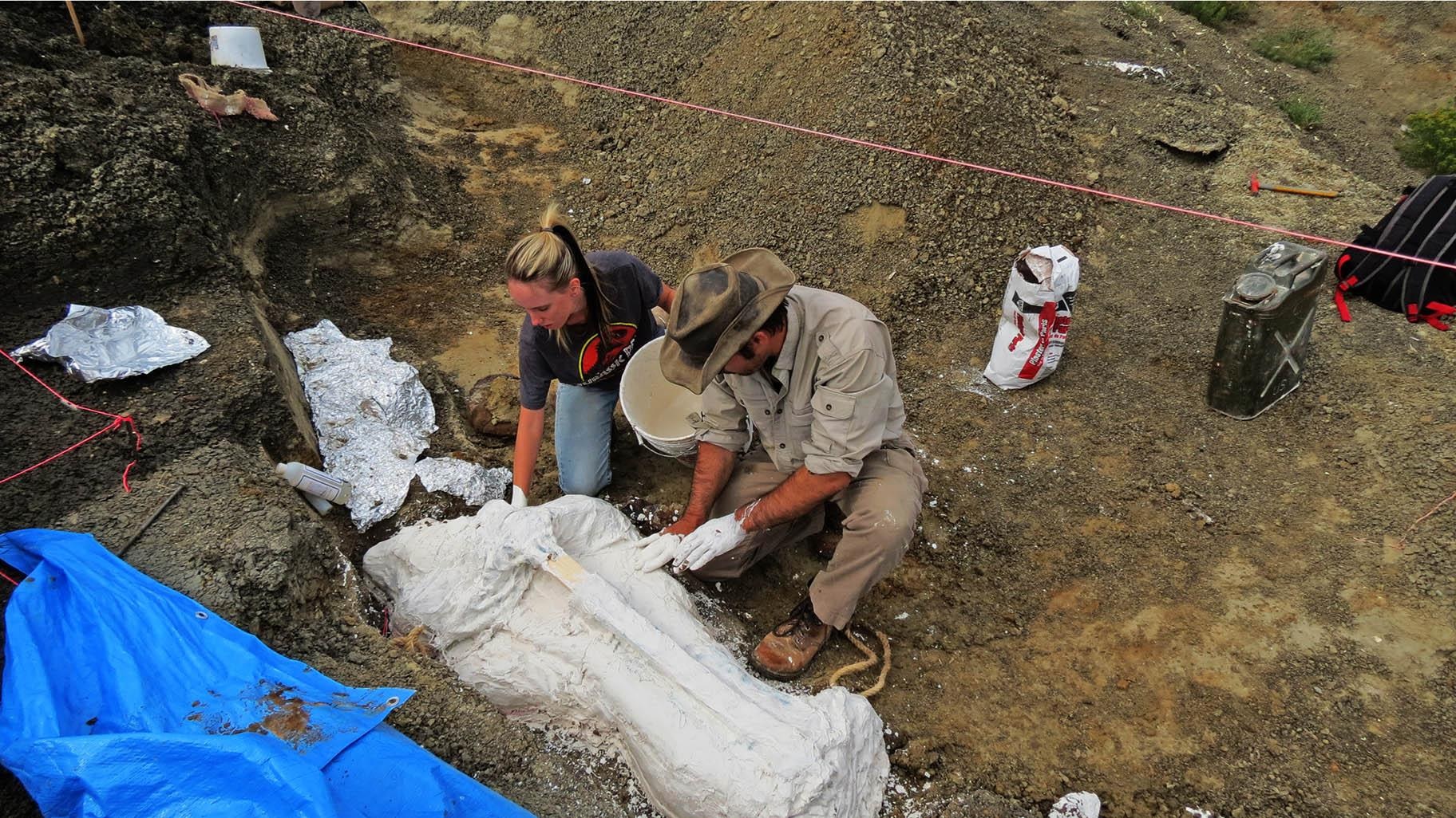 德帕尔马（右）和助理在坦尼斯化石遗址挖掘出一块化石。