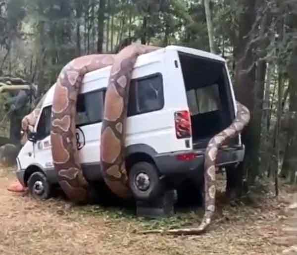 python,wrapping,truck