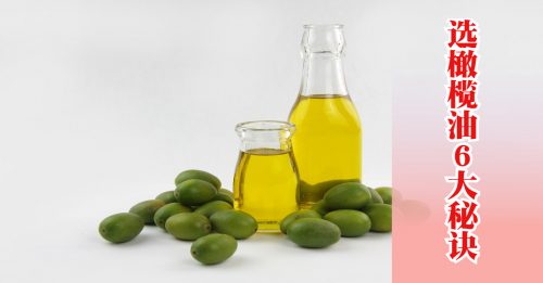 ◤好食材◢橄榄油挑选指南