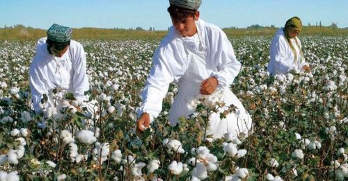 美国6月21日起 对新疆商品实施禁令
