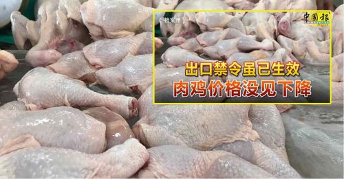 ◤肉鸡短缺◢ 商家不遵守政府顶价 肉鸡价日益失控