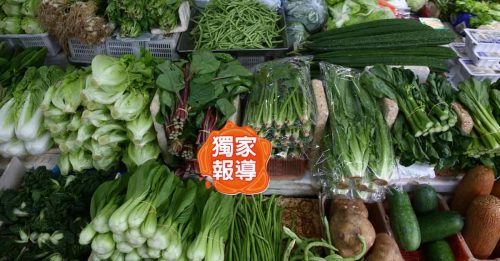 供应恢复平稳  本地菜 便宜了